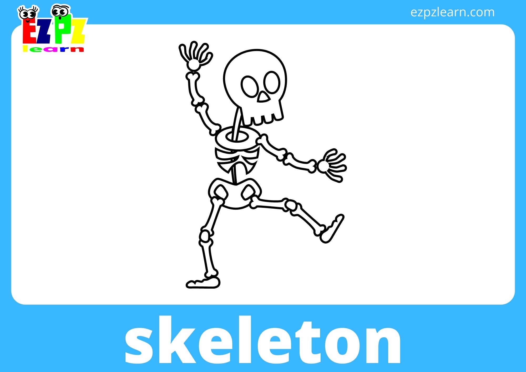 skeleton